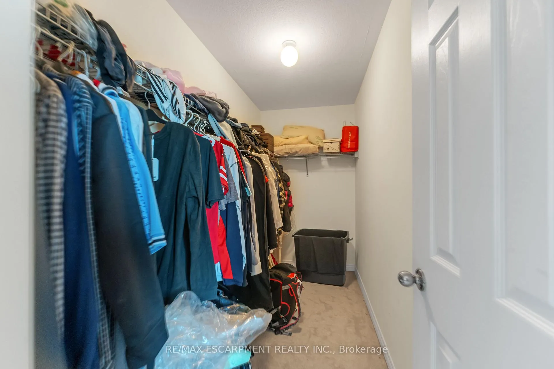 Photo 16 of 36 Connell Crescent, Hamilton, Gourley — HOMEH