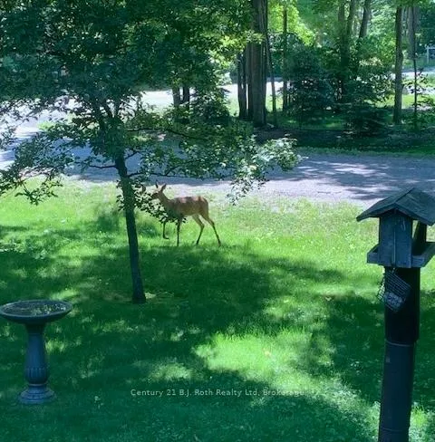 Photo 45 of 100 Tall Pines Drive, Tiny, Rural Tiny — HOMEH