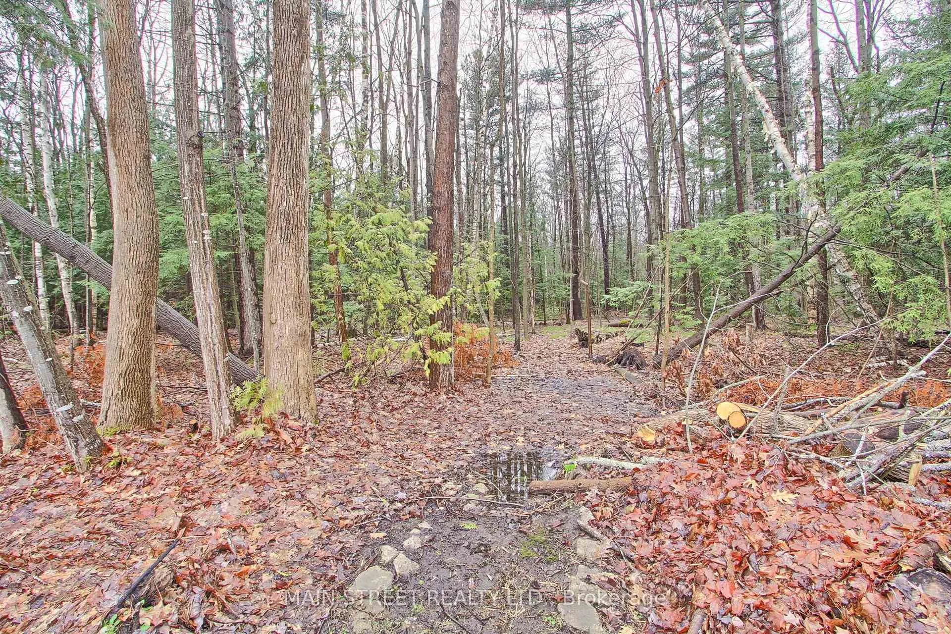 Photo 4 of 52 Maple Avenue, Georgina, Sutton & Jackson's Point — HOMEH