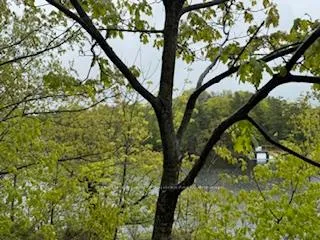 Photo 9 of Sunset Bay Road, Gravenhurst, Wood (Gravenhurst) — HOMEH
