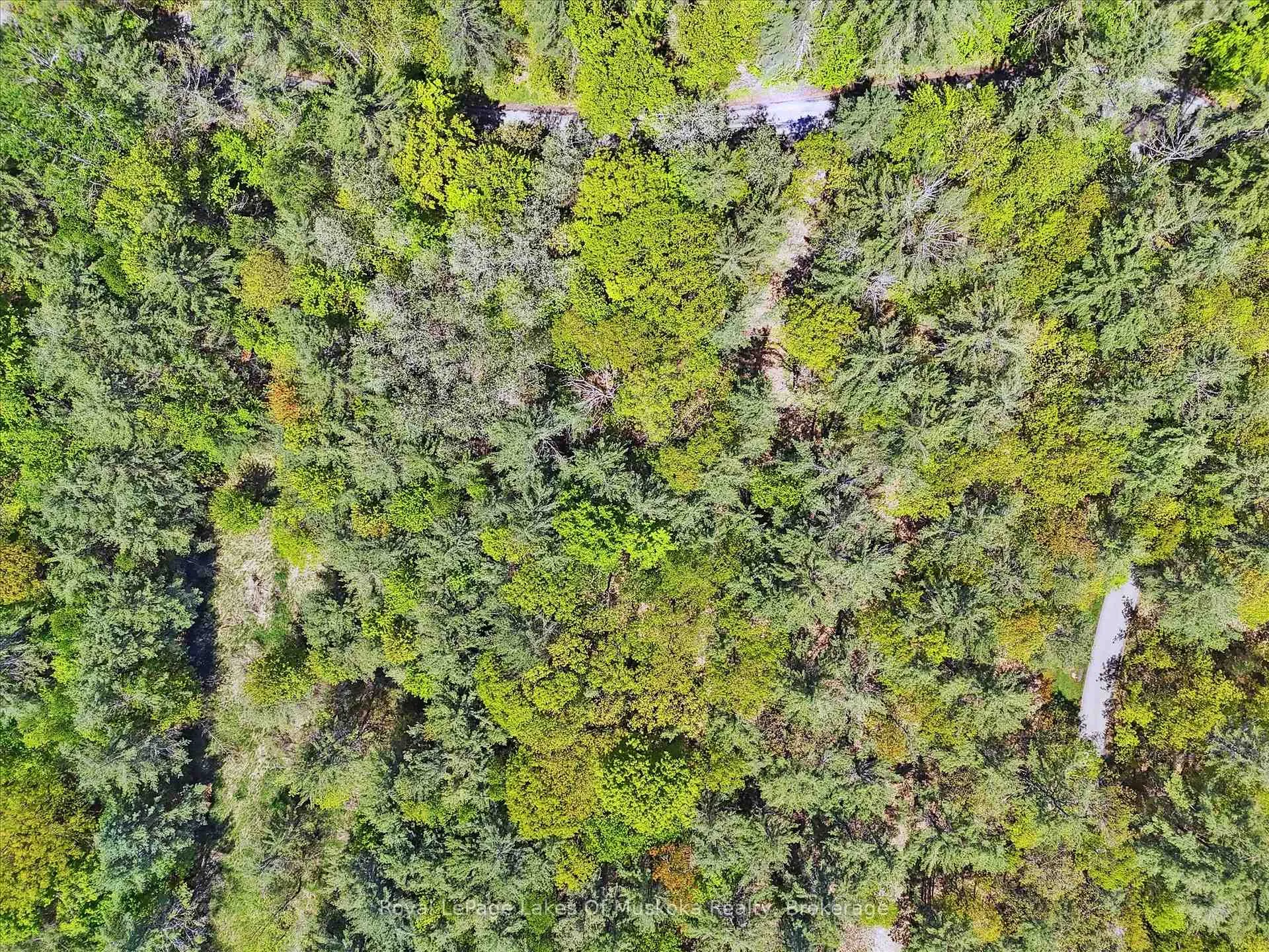 Photo 11 of Sunset Bay Road, Gravenhurst, Wood (Gravenhurst) — HOMEH