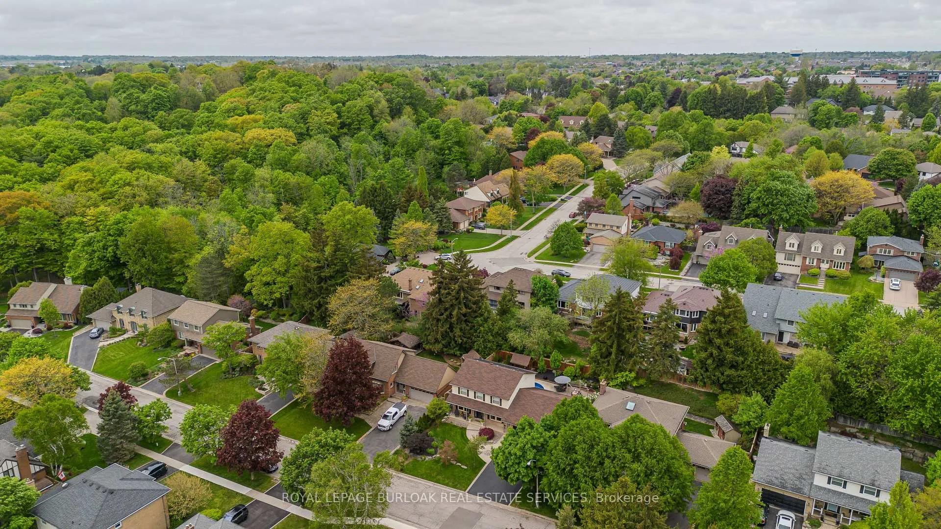 Photo 4 of 6 Carl Crescent, Hamilton, Waterdown — HOMEH