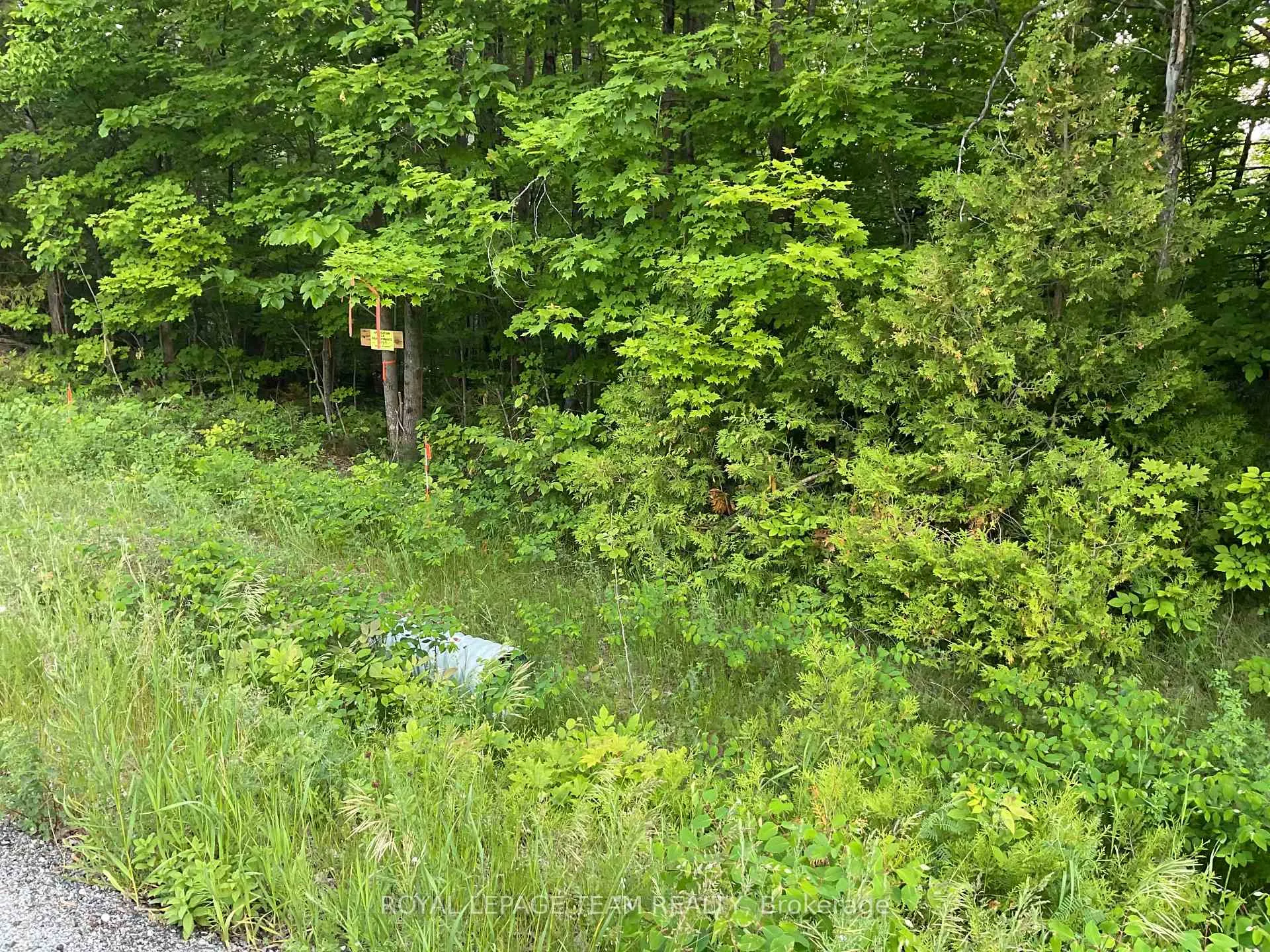Photo 1 of Cty Rd 511, Lanark Highlands, Lanark Highlands (Darling) Twp — HOMEH