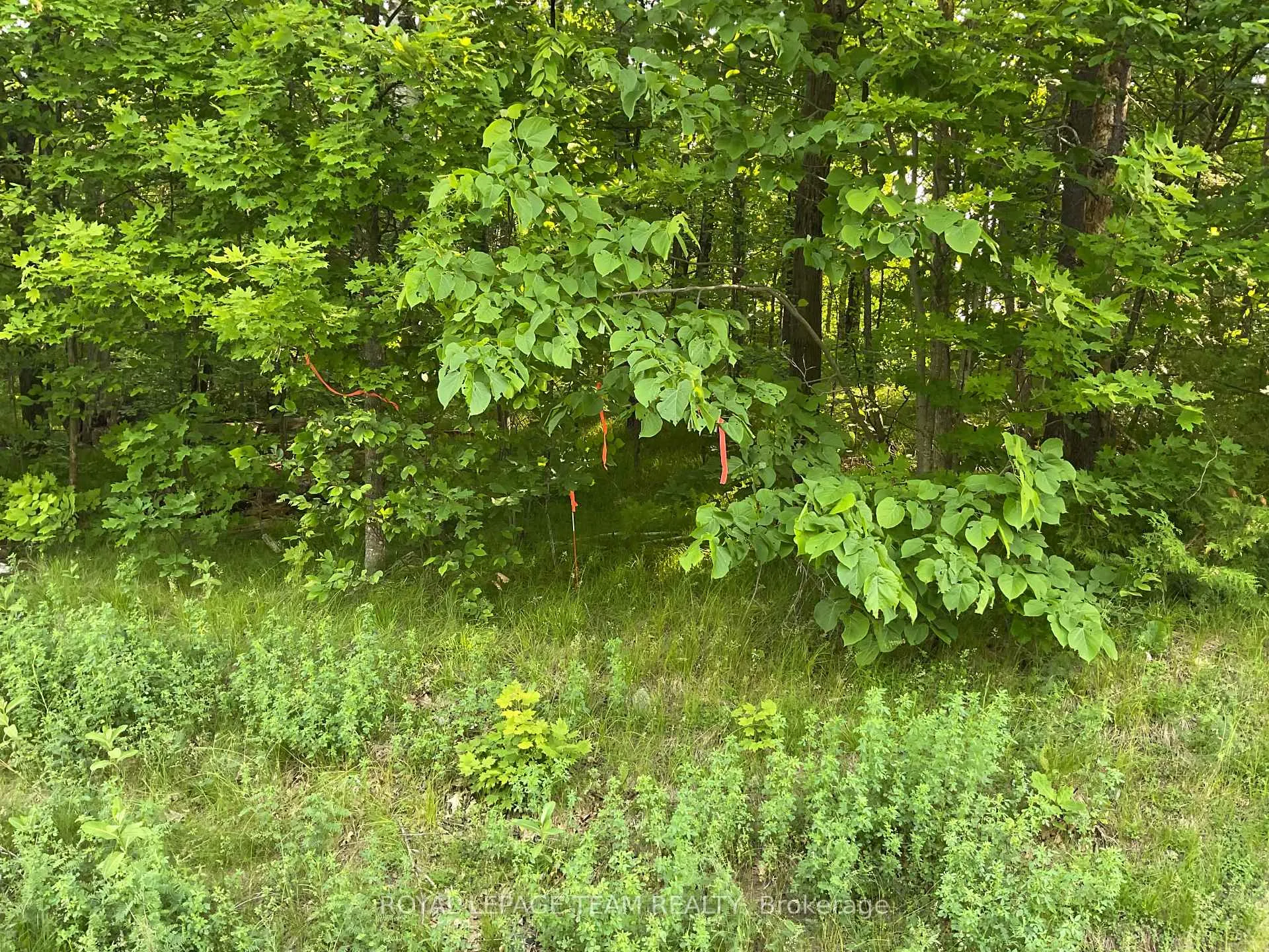 Photo 3 of Cty Rd 511, Lanark Highlands, Lanark Highlands (Darling) Twp — HOMEH