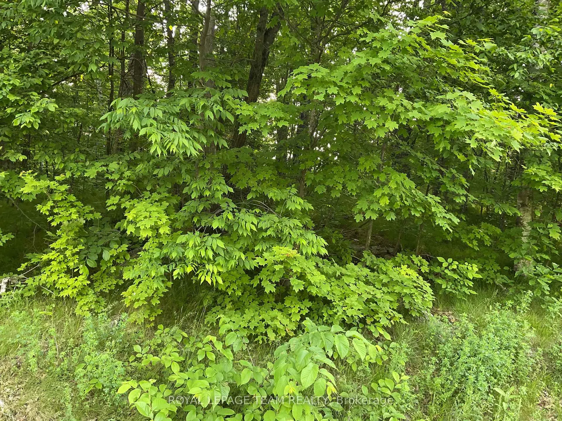 Photo 4 of Cty Rd 511, Lanark Highlands, Lanark Highlands (Darling) Twp — HOMEH