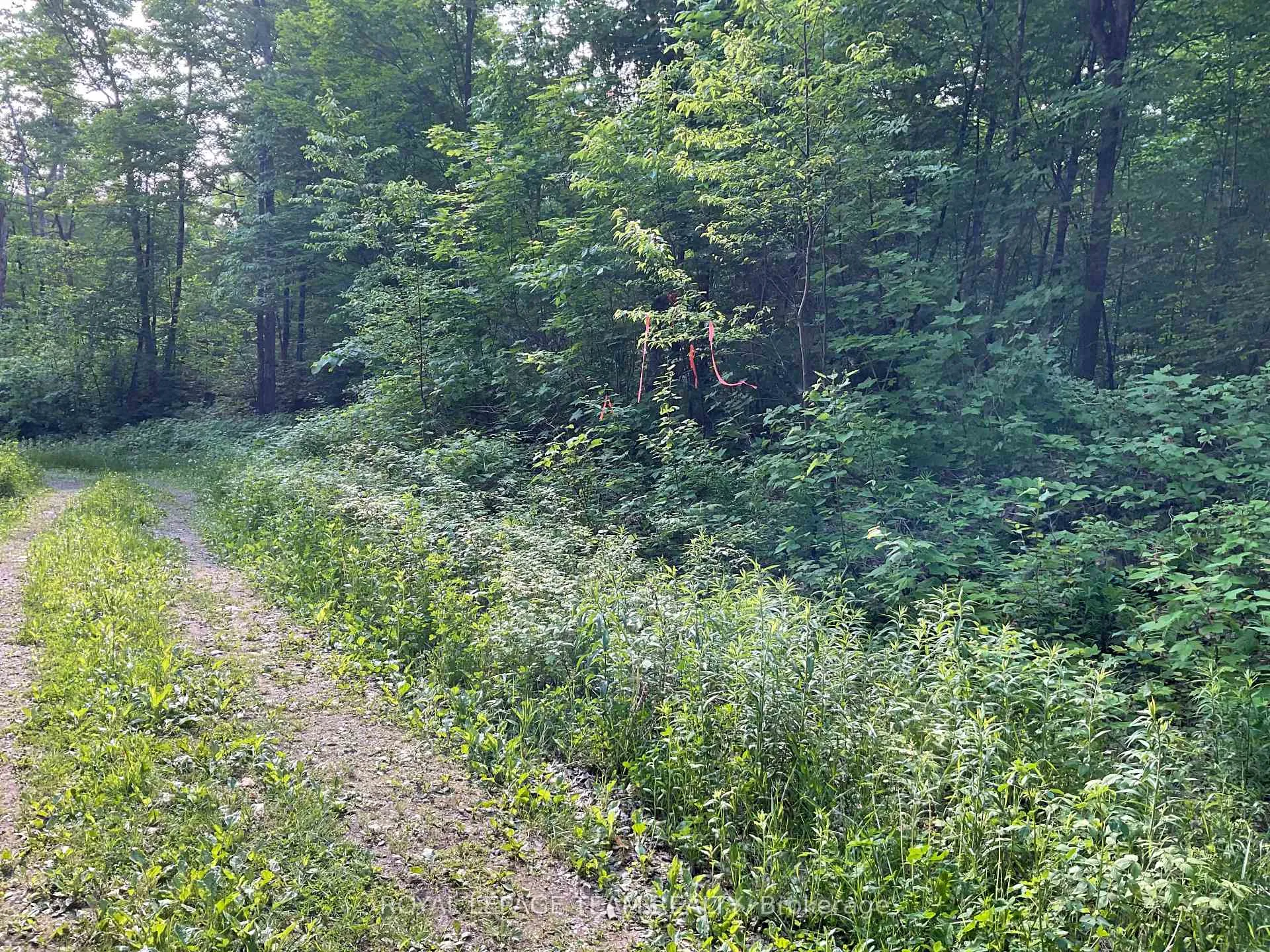 Photo 6 of Cty Rd 511, Lanark Highlands, Lanark Highlands (Darling) Twp — HOMEH