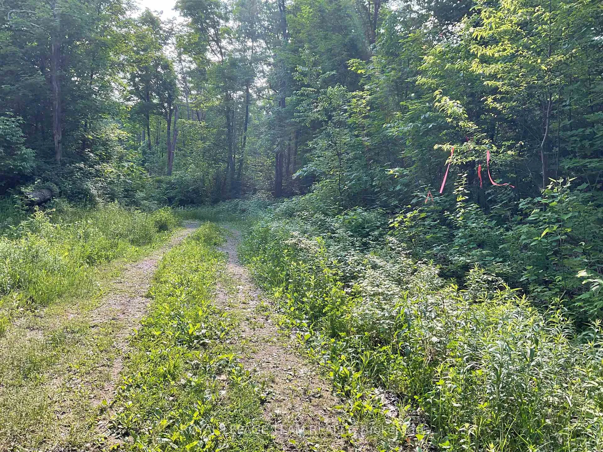 Photo 7 of Cty Rd 511, Lanark Highlands, Lanark Highlands (Darling) Twp — HOMEH