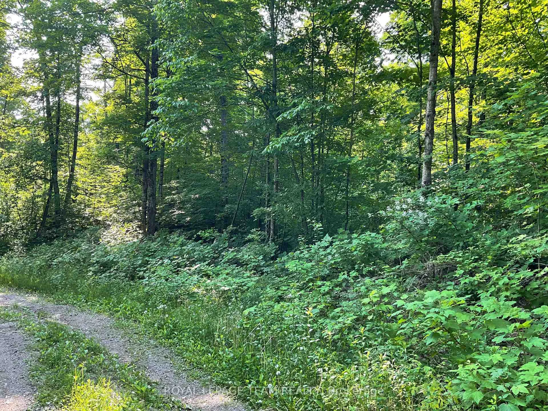 Photo 8 of Cty Rd 511, Lanark Highlands, Lanark Highlands (Darling) Twp — HOMEH