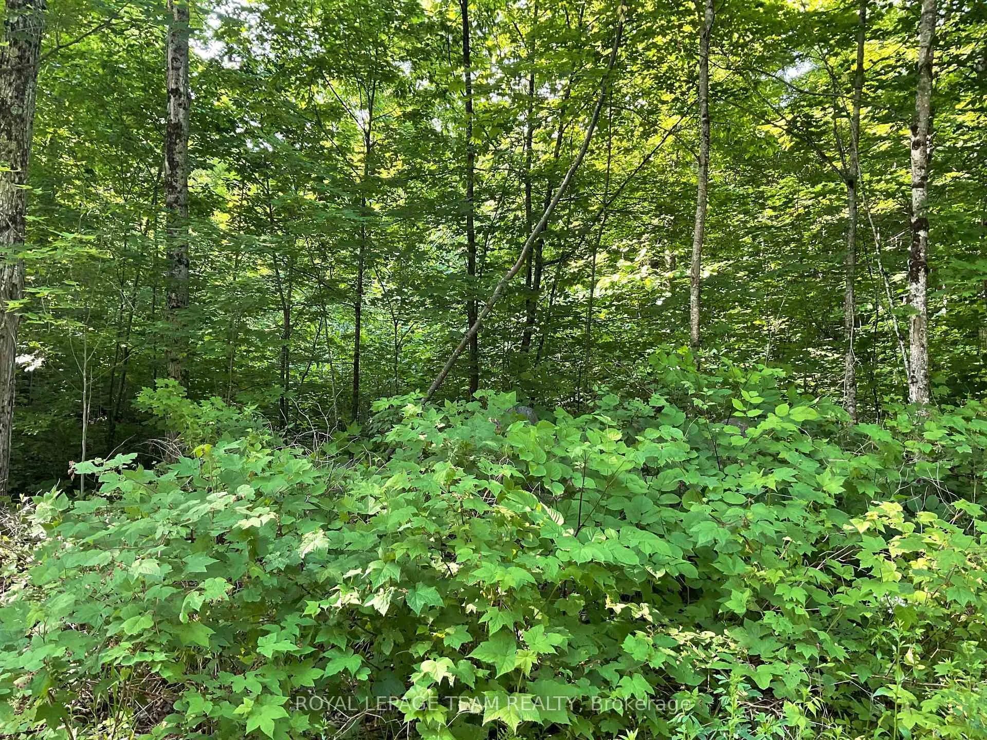 Photo 9 of Cty Rd 511, Lanark Highlands, Lanark Highlands (Darling) Twp — HOMEH