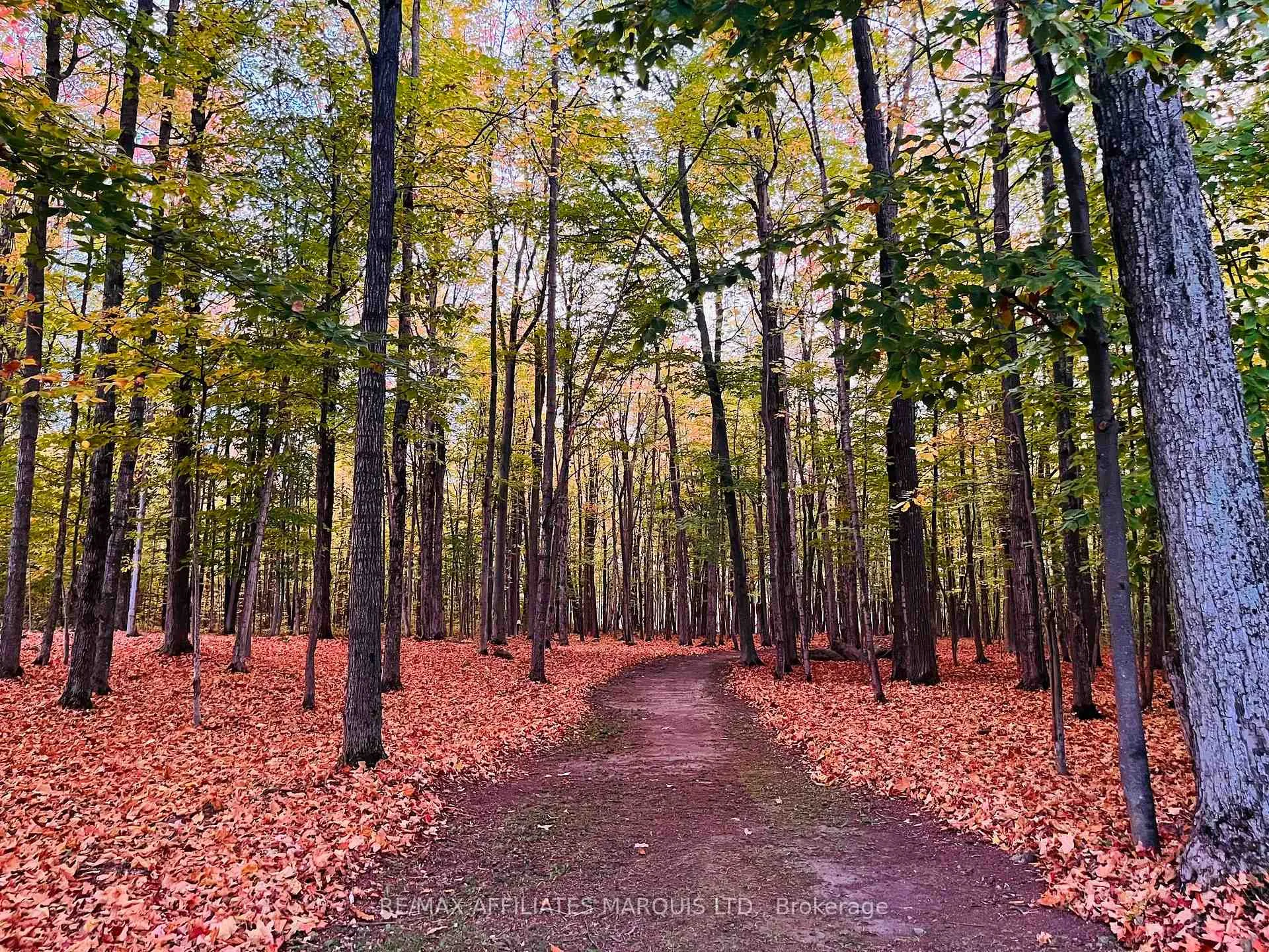 Photo 47 of 4822 Delaney Road, South Stormont, South Stormont (Cornwall) Twp — HOMEH