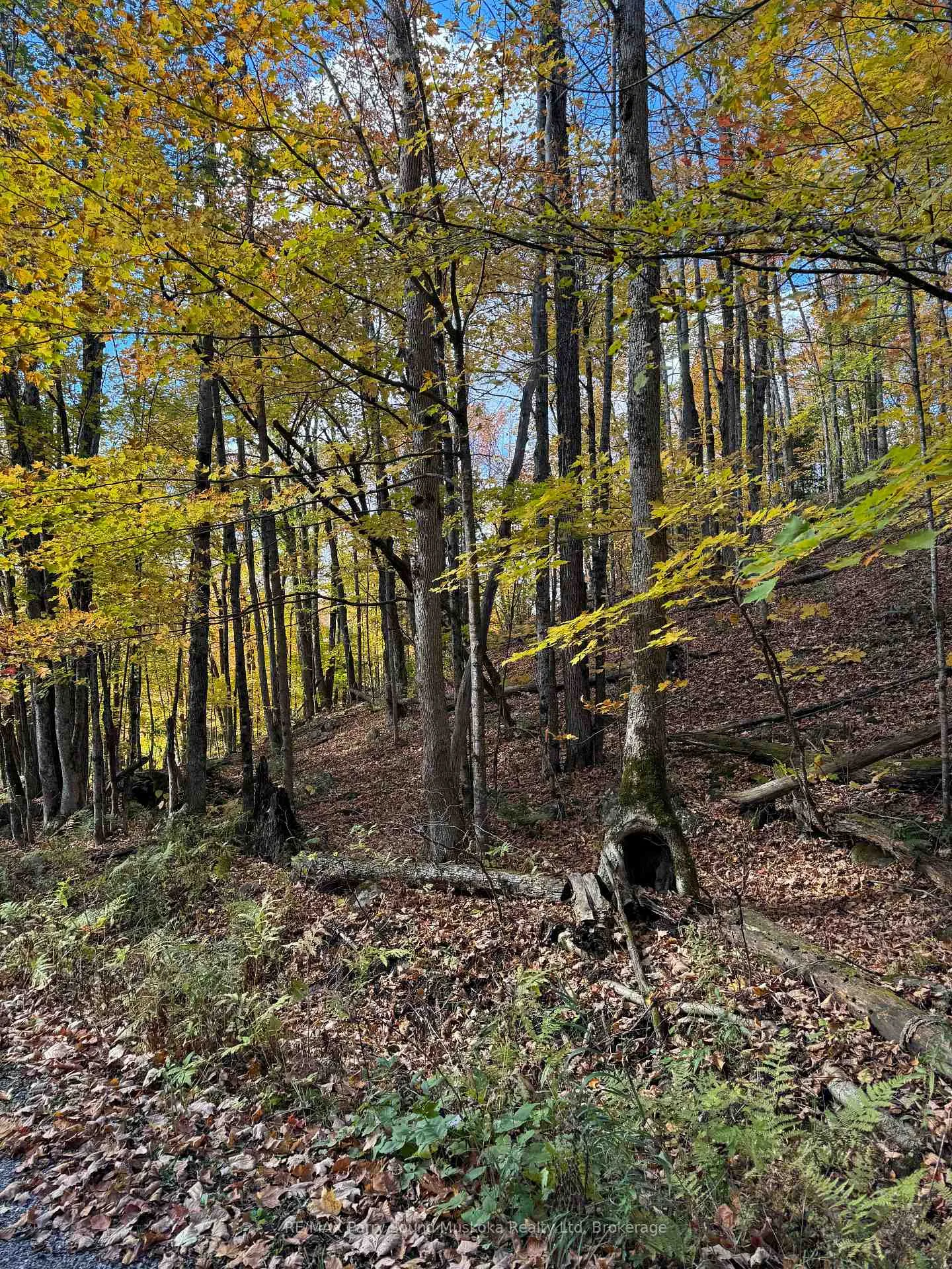 Photo of 353C Balsam Creek Road