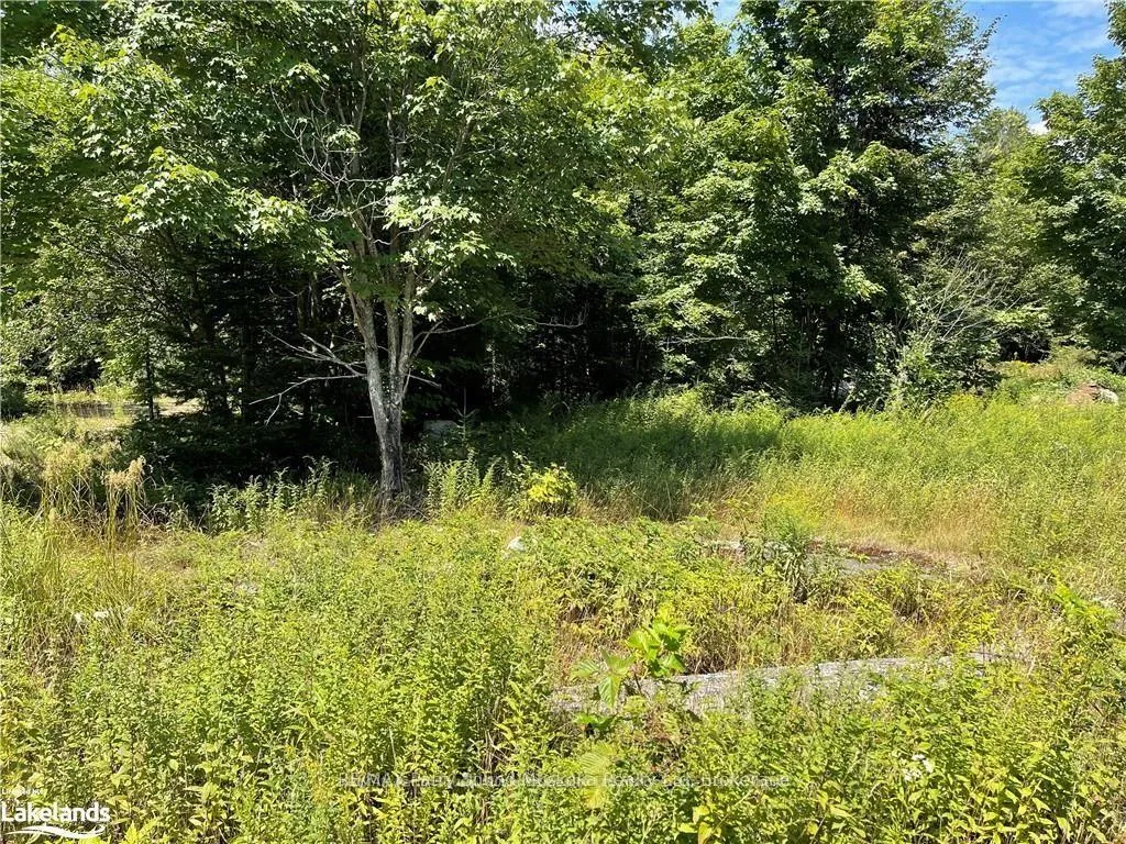 Photo 4 of 1035B 520 Highway N, Whitestone — HOMEH