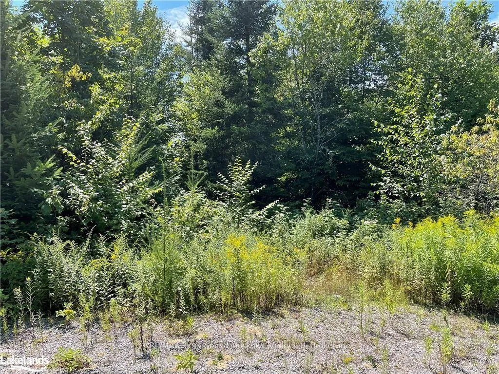 Photo 7 of 1035B 520 Highway N, Whitestone — HOMEH