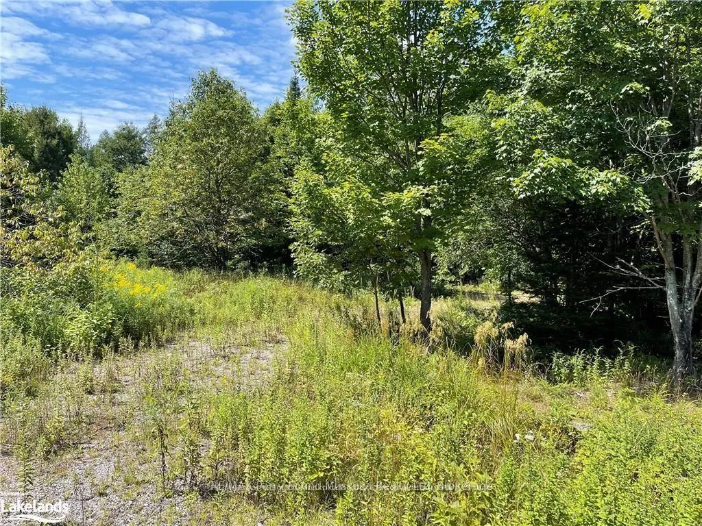 Photo 8 of 1035B 520 Highway N, Whitestone — HOMEH