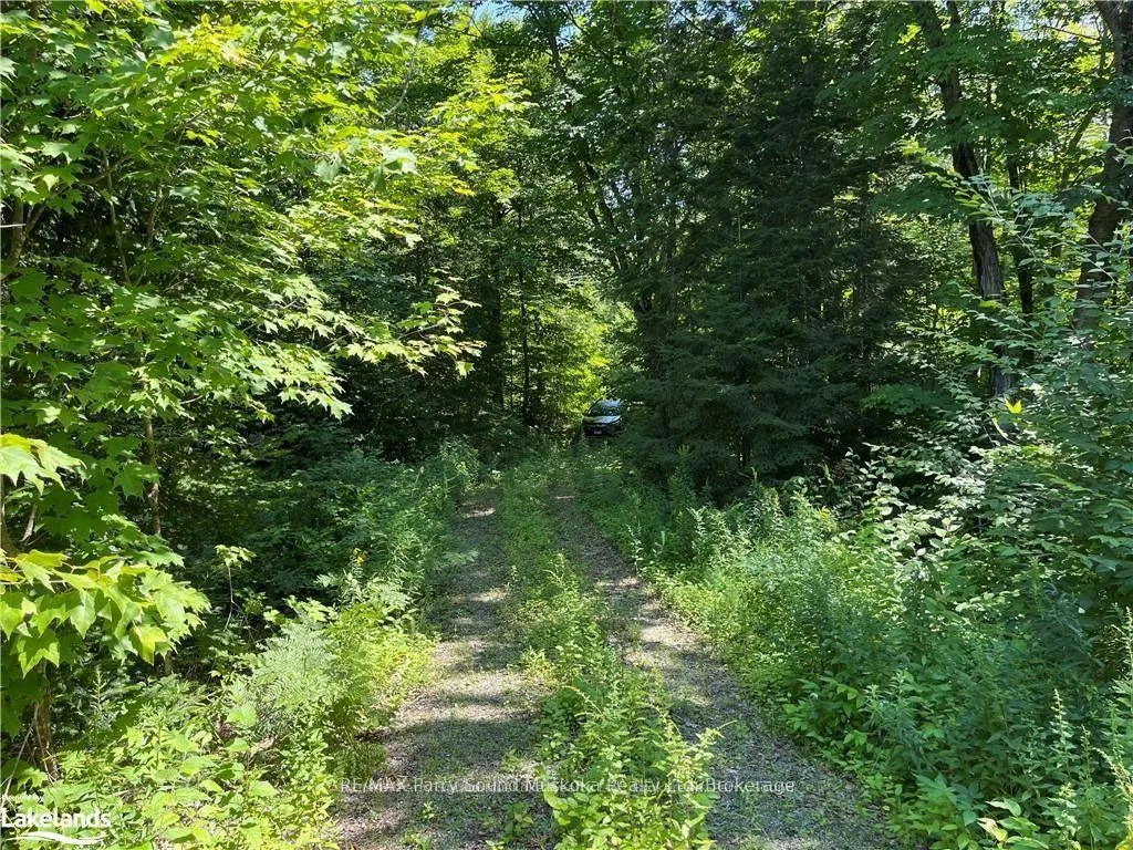 Photo 10 of 1035B 520 Highway N, Whitestone — HOMEH