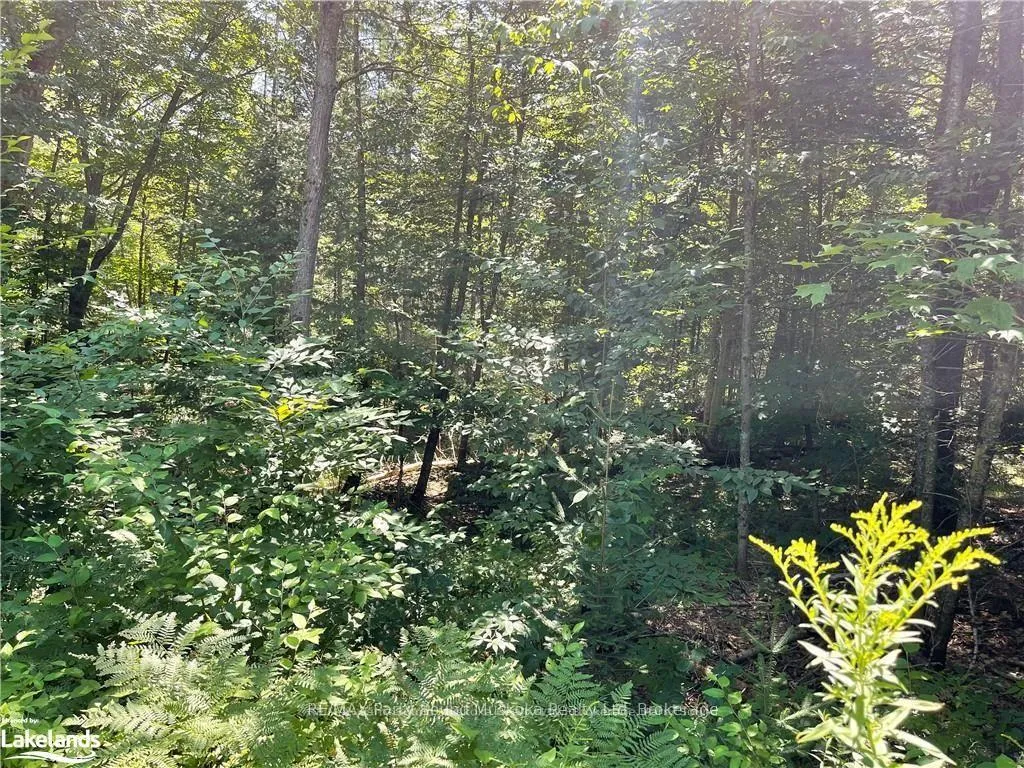 Photo 12 of 1035B 520 Highway N, Whitestone — HOMEH