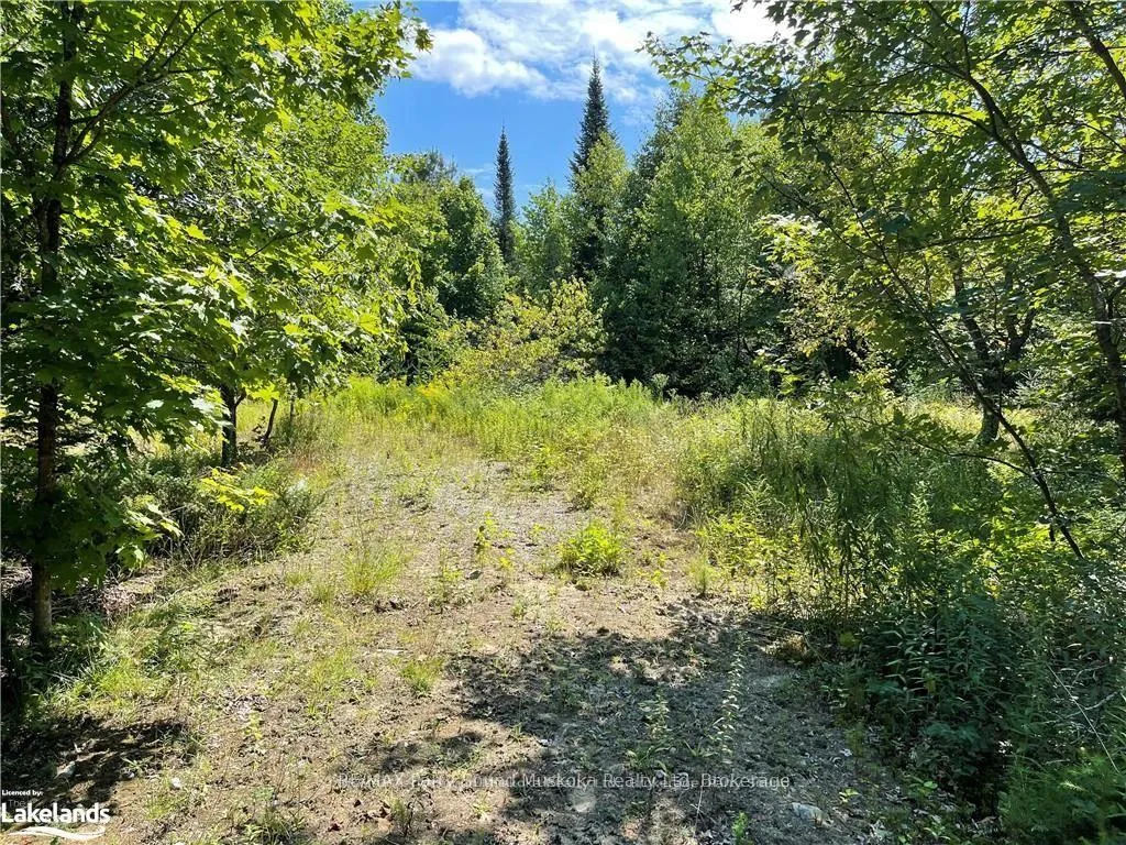 Photo 13 of 1035B 520 Highway N, Whitestone — HOMEH