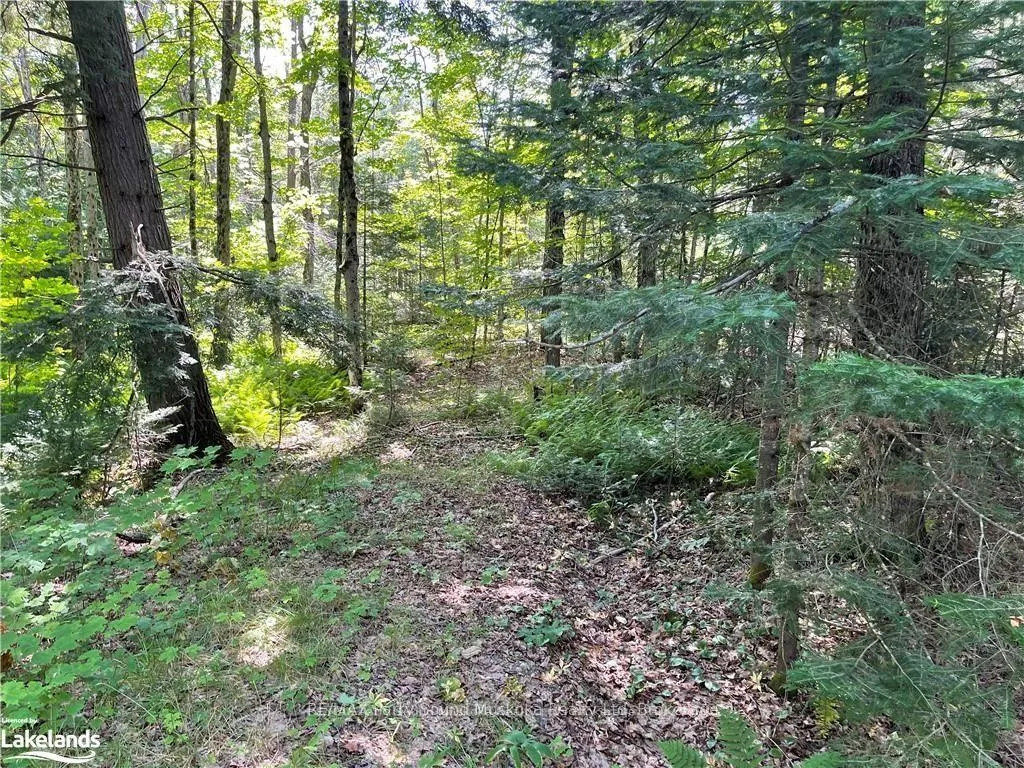 Photo 14 of 1035B 520 Highway N, Whitestone — HOMEH