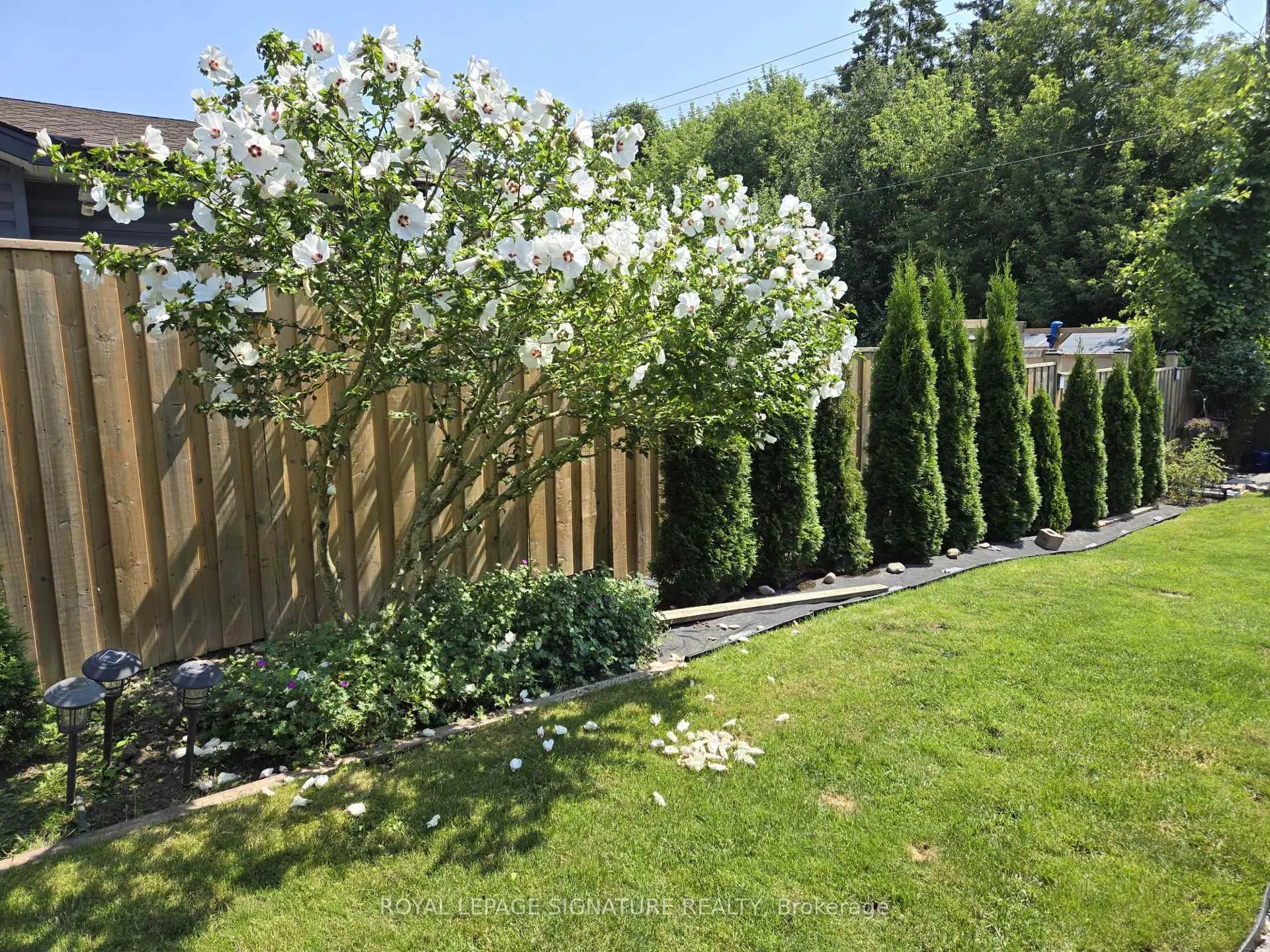 Photo 41 of 163 Simpson Road, Ajax, South East — HOMEH