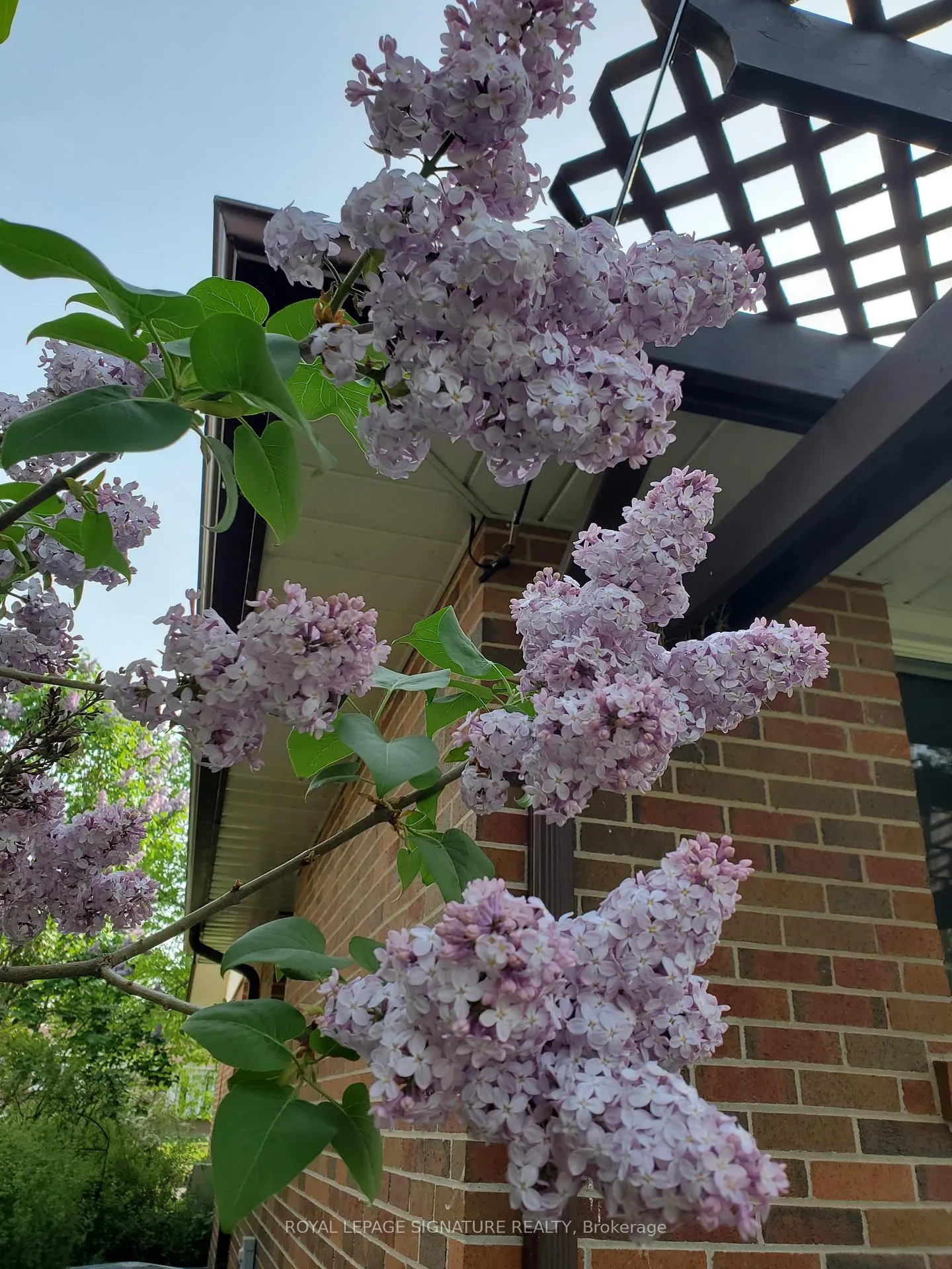 Photo 43 of 163 Simpson Road, Ajax, South East — HOMEH