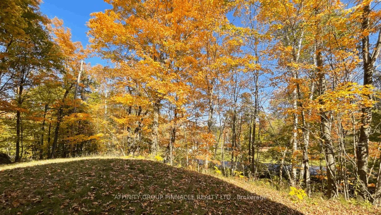 Photo 31 of 96 Pinewood Road, McDougall — HOMEH
