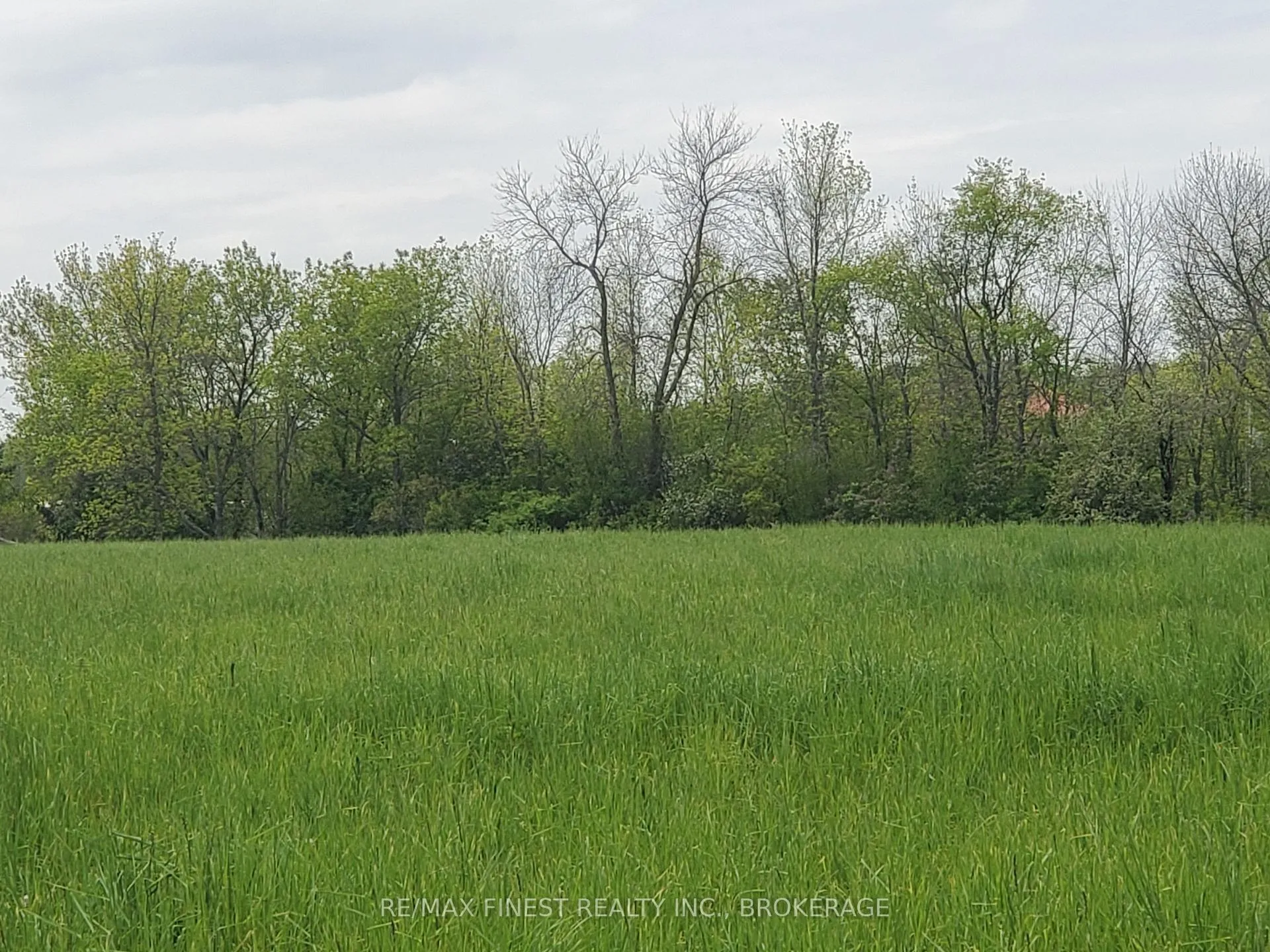 Photo 6 of 4677 Petworth Road, Frontenac, Frontenac South — HOMEH