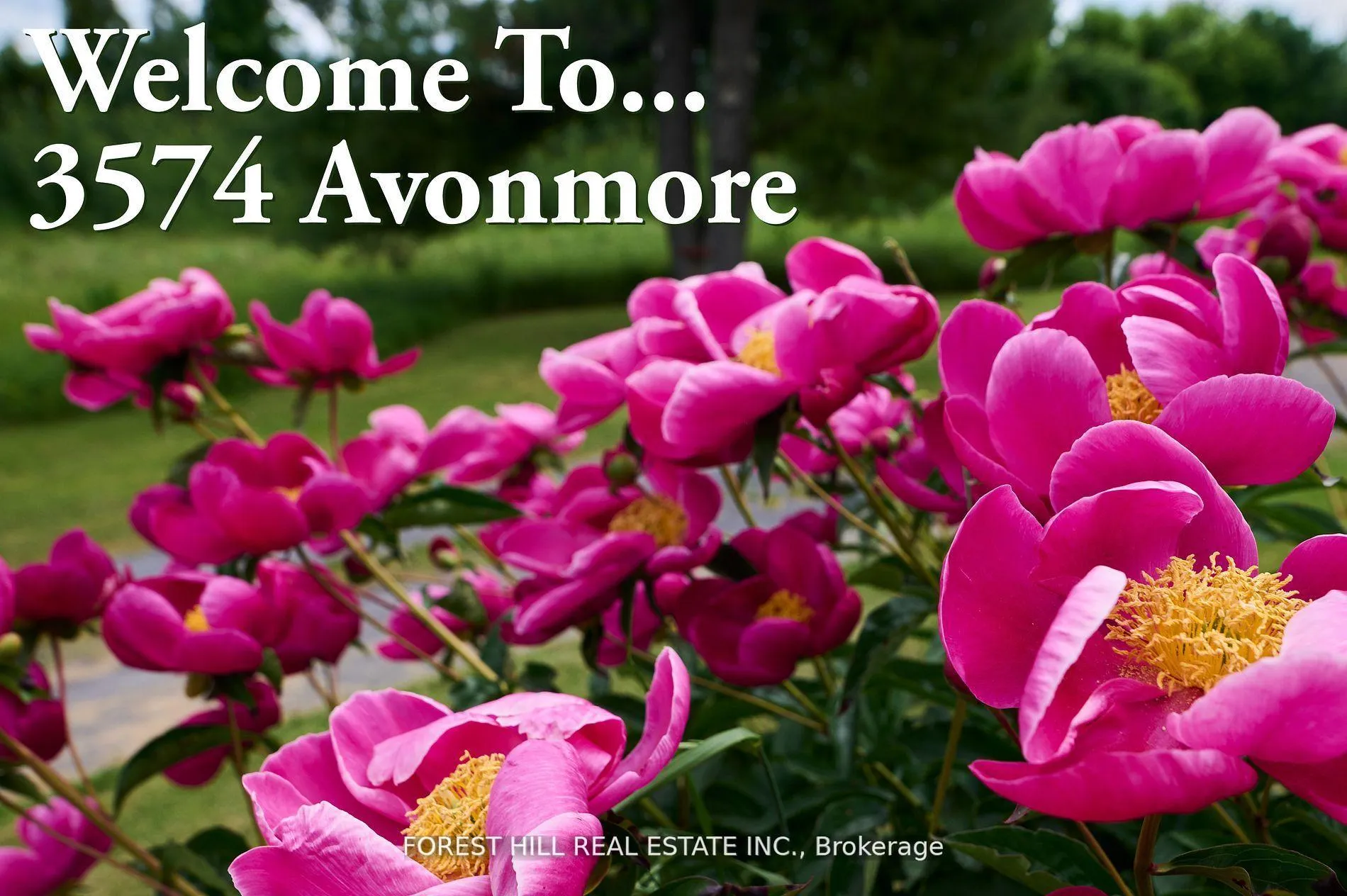 Photo 32 of 3574 Avonmore Road, North Stormont, North Stormont (Roxborough) Twp — HOMEH