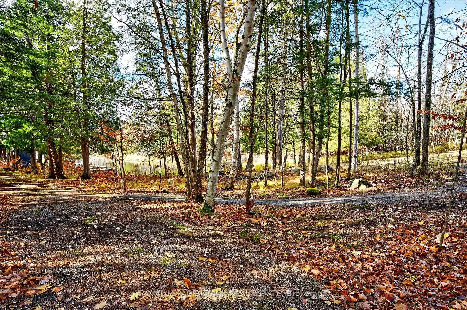Photo 40 of 299 Fire Route 10A, North Kawartha — HOMEH