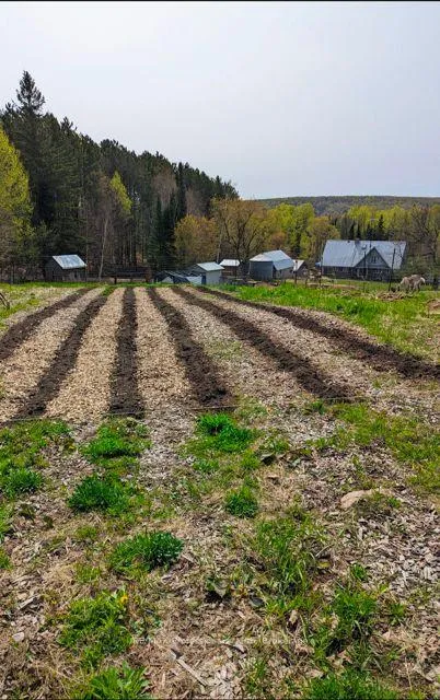 Photo 52 of 2481 North Shore Road, Algonquin Highlands, Stanhope — HOMEH