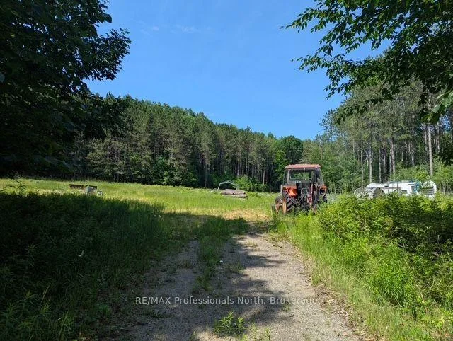 Photo 64 of 2481 North Shore Road, Algonquin Highlands, Stanhope — HOMEH