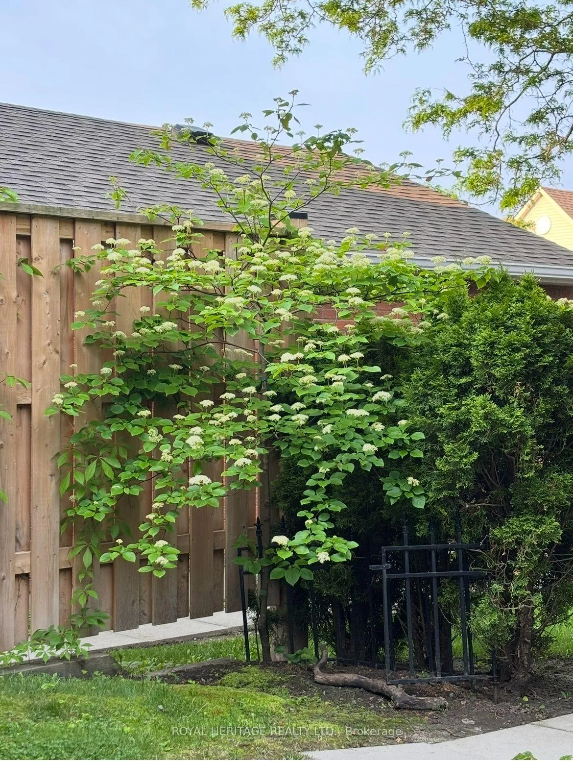 Photo 31 of Unit 39, 10 Bassett Boulevard, Whitby, Pringle Creek — HOMEH