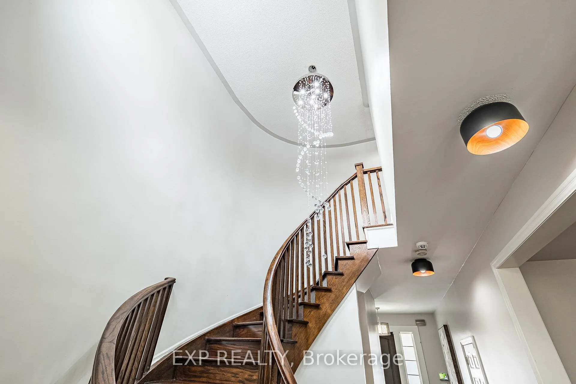 Photo 19 of 61 Playfair Terrace, Milton, Scott — HOMEH