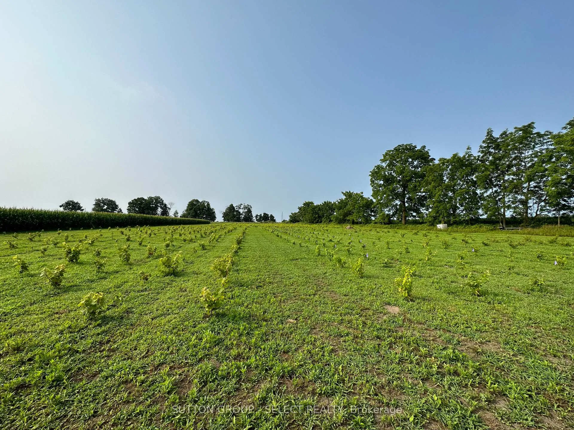 Photo 3 of 48397 Dexter Line, Central Elgin, Rural Central Elgin — HOMEH