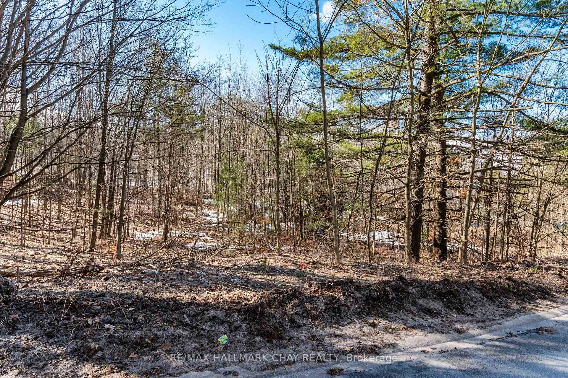 Photo 2 of 19 Birch Grove Drive, Oro-Medonte, Horseshoe Valley — HOMEH