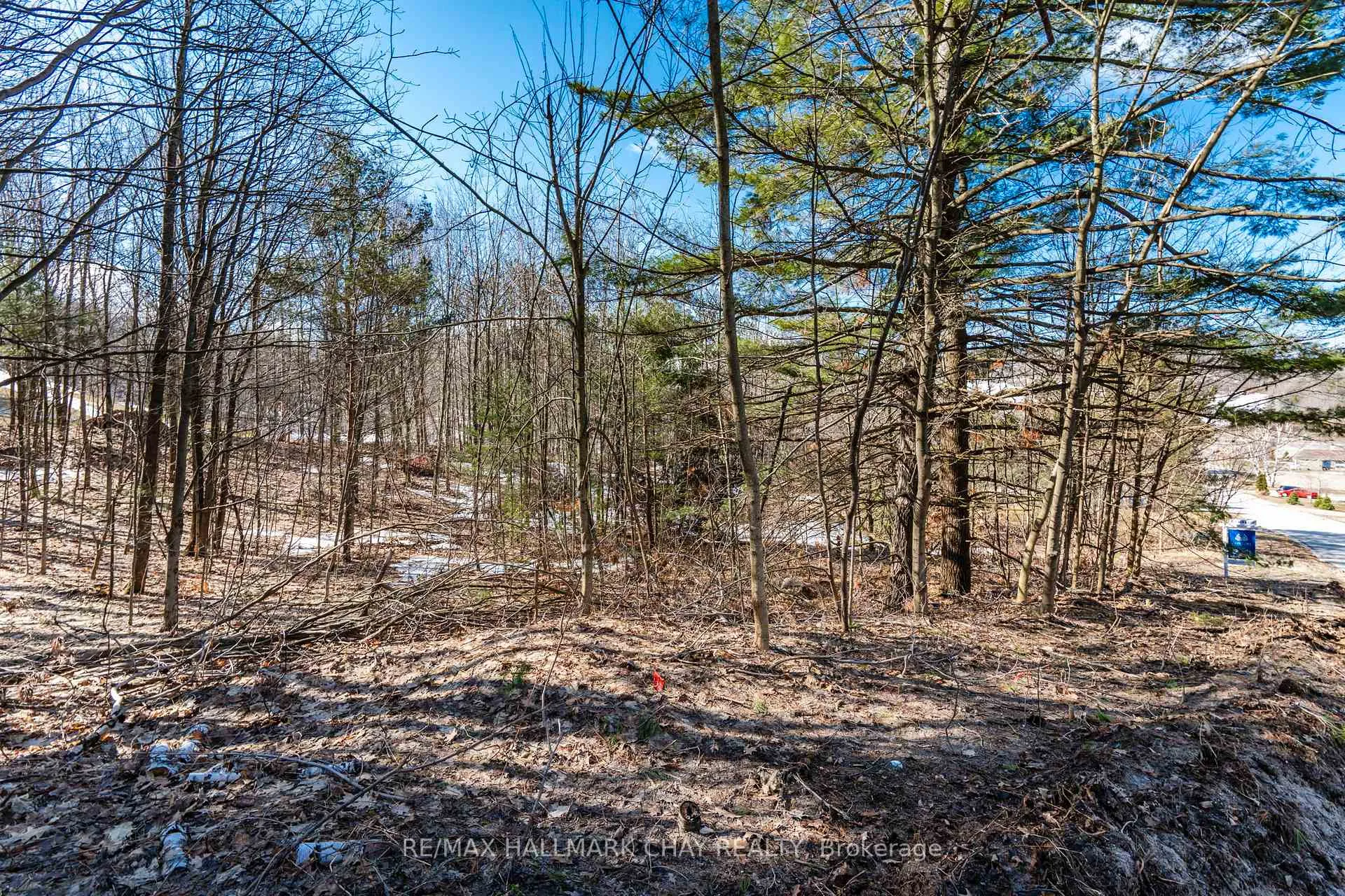 Photo 5 of 19 Birch Grove Drive, Oro-Medonte, Horseshoe Valley — HOMEH