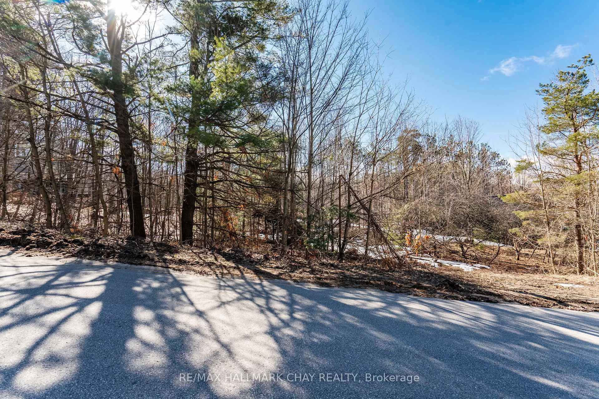 Photo 6 of 19 Birch Grove Drive, Oro-Medonte, Horseshoe Valley — HOMEH