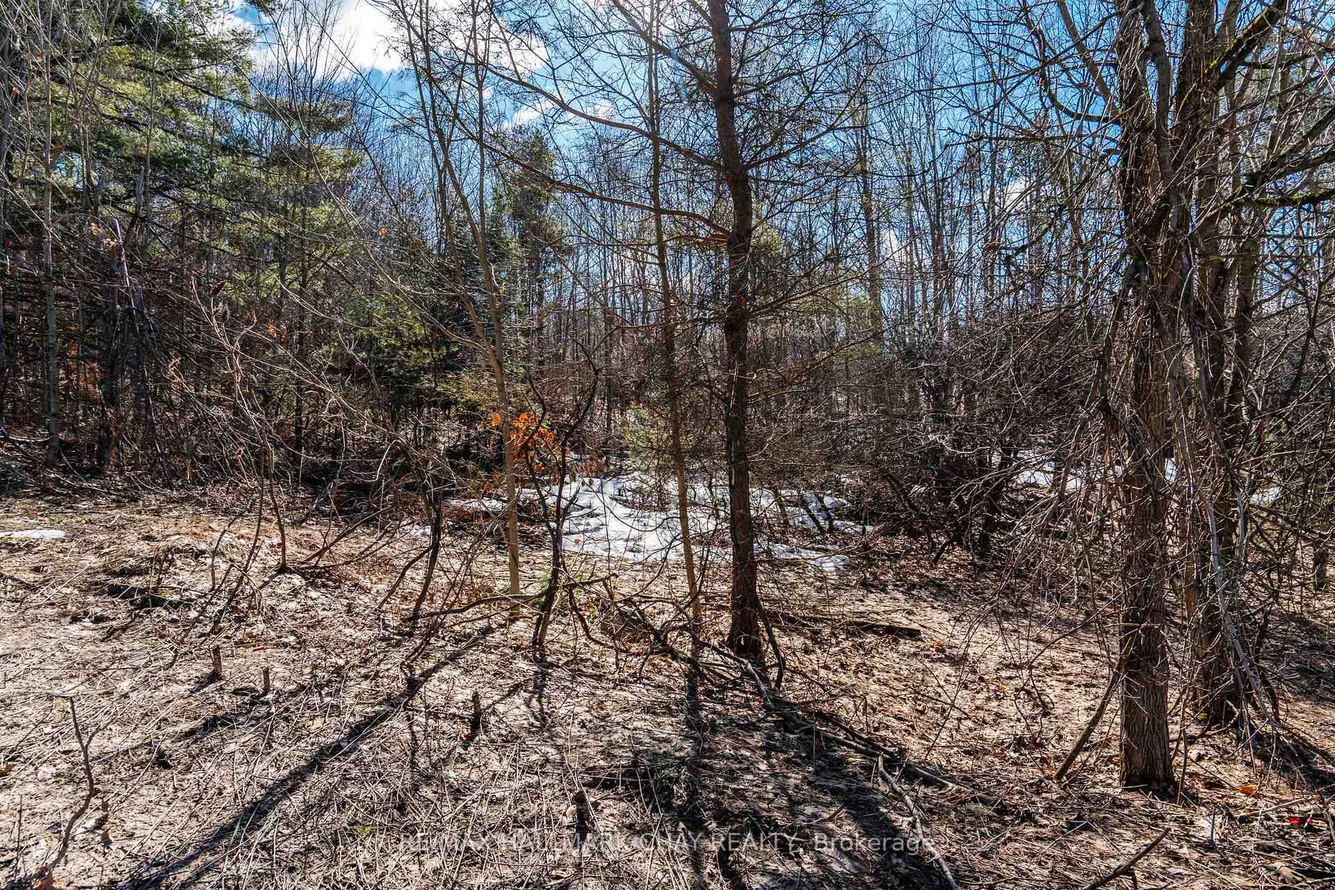 Photo 8 of 19 Birch Grove Drive, Oro-Medonte, Horseshoe Valley — HOMEH