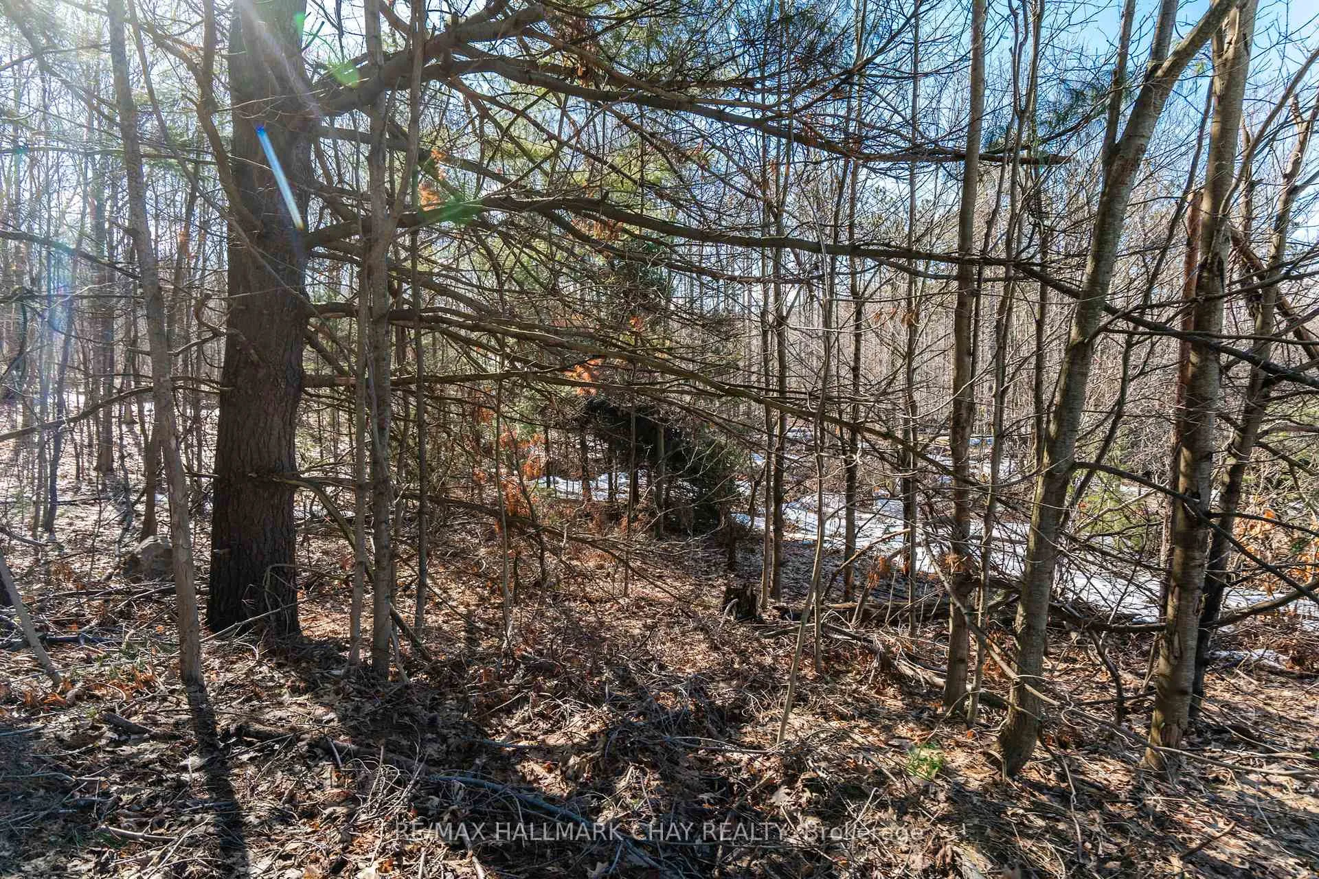 Photo 9 of 19 Birch Grove Drive, Oro-Medonte, Horseshoe Valley — HOMEH