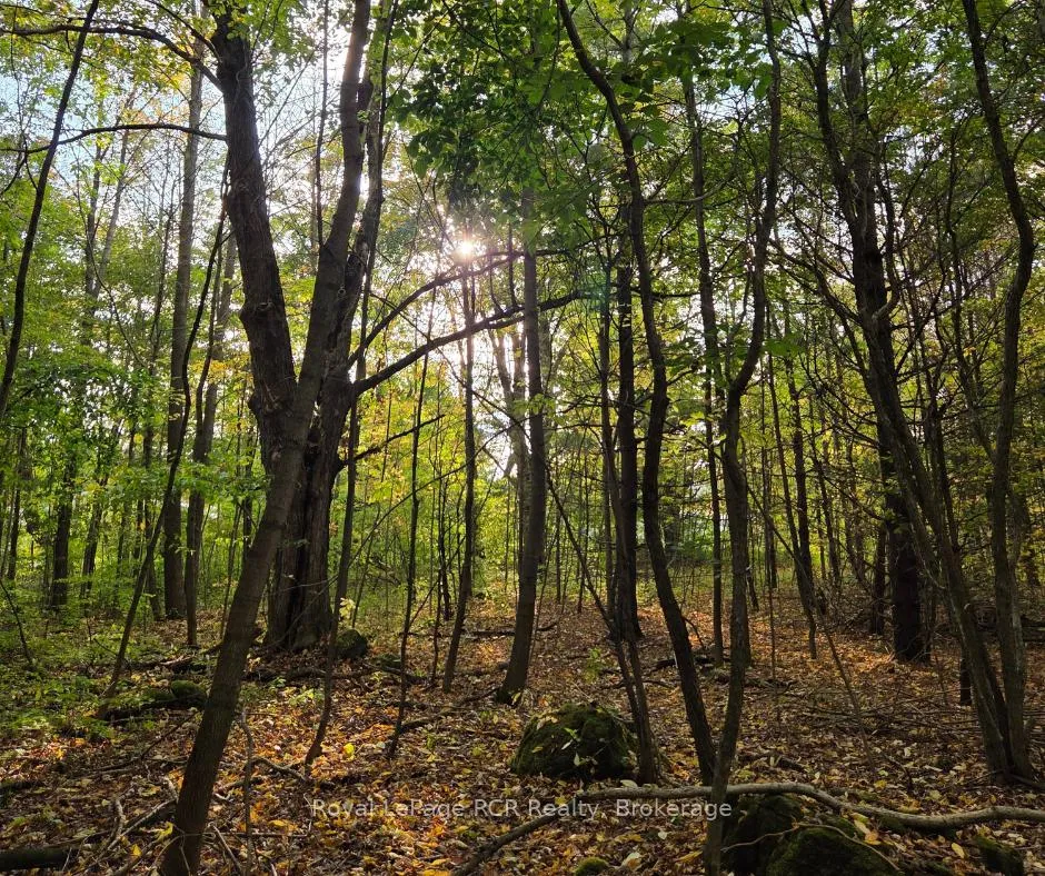 Photo 1 of Simpson, Grey Highlands — HOMEH