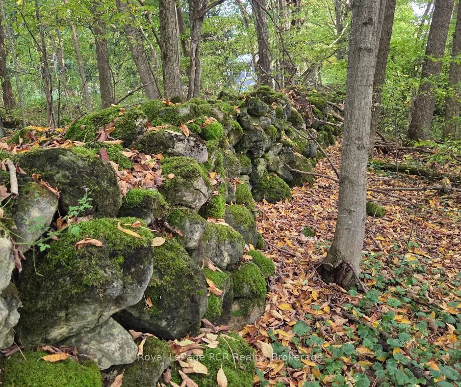 Photo 2 of Simpson, Grey Highlands — HOMEH