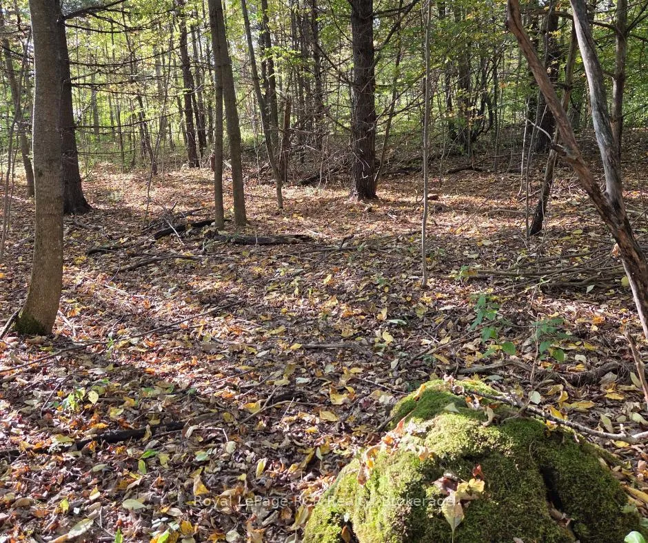 Photo 3 of Simpson, Grey Highlands — HOMEH