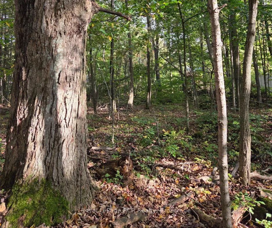 Photo 4 of Simpson, Grey Highlands — HOMEH