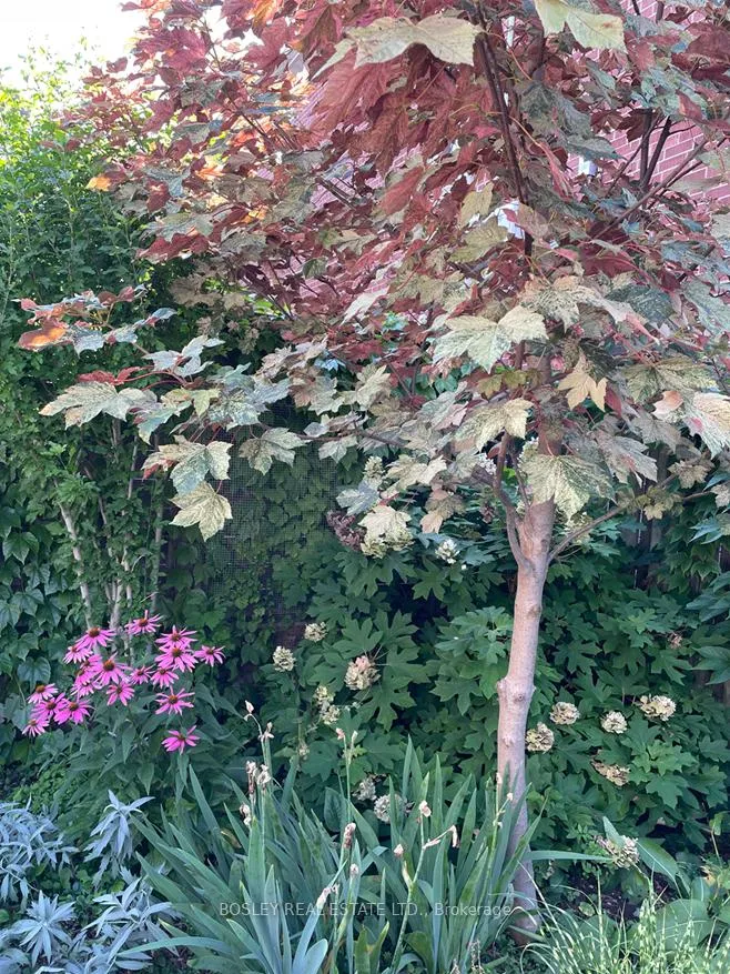 Photo 42 of 66 Ninth Street, Etobicoke, New Toronto — HOMEH