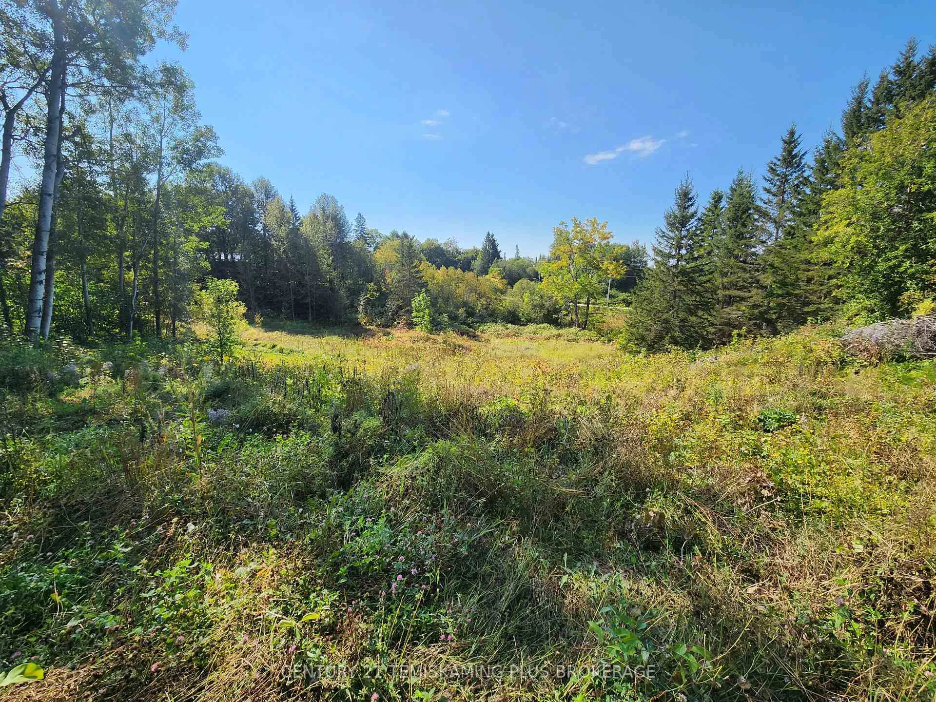 Photo 11 of LT 7-9 Main Street, Englehart, Central Timiskaming — HOMEH