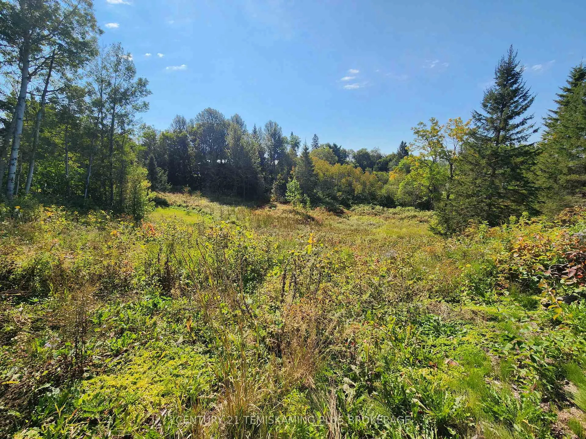 Photo 13 of LT 7-9 Main Street, Englehart, Central Timiskaming — HOMEH