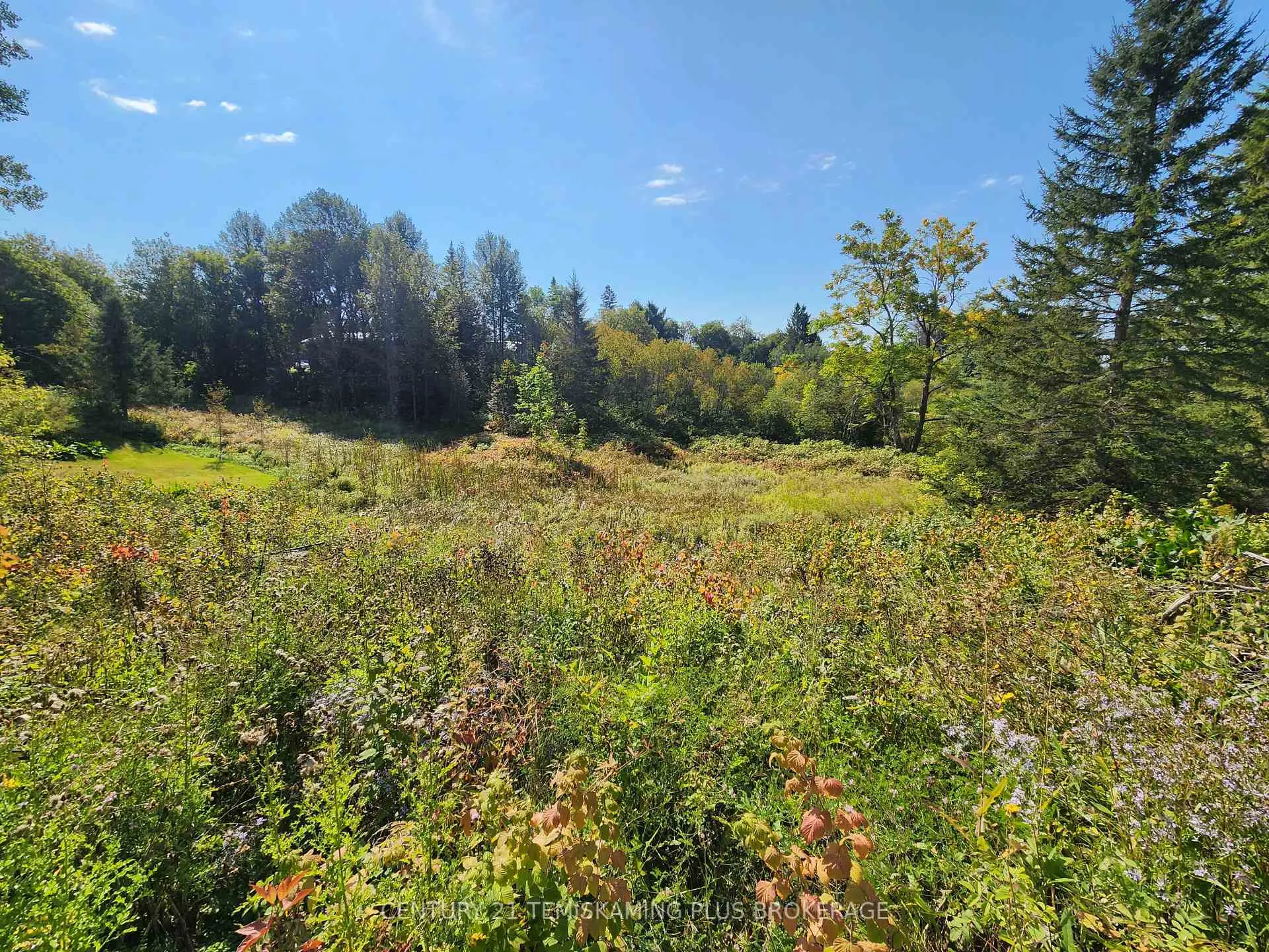 Photo 14 of LT 7-9 Main Street, Englehart, Central Timiskaming — HOMEH