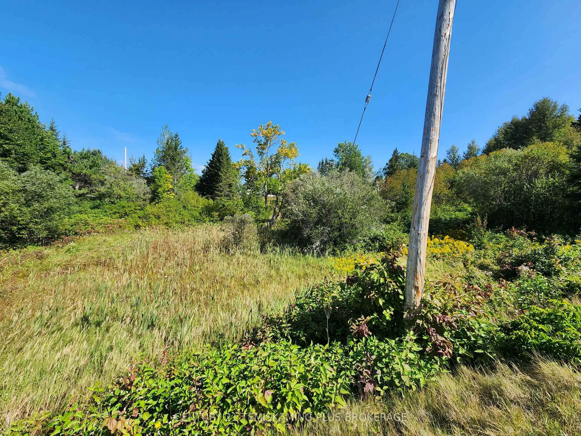Photo 10 of LT10-12 Main Street, Englehart, Central Timiskaming — HOMEH