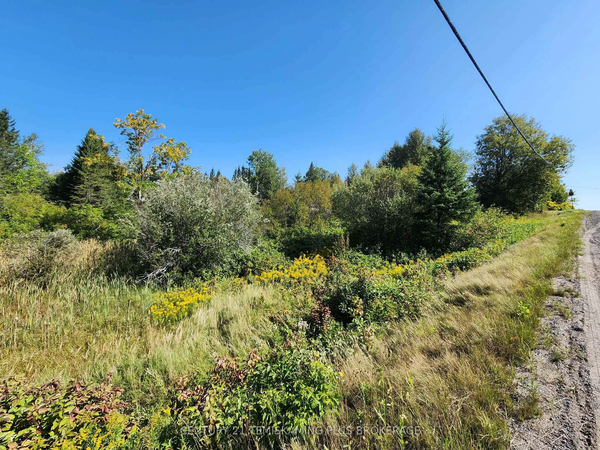 Photo 11 of LT10-12 Main Street, Englehart, Central Timiskaming — HOMEH