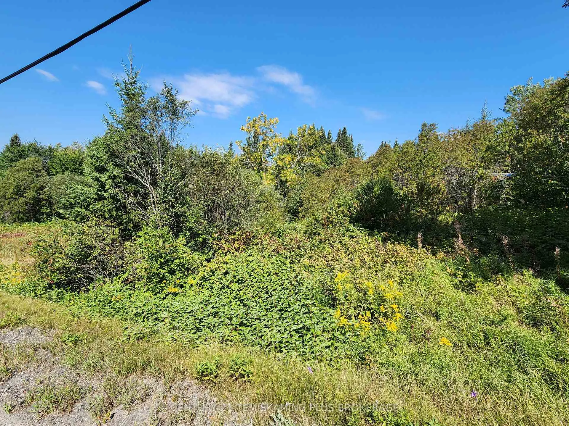 Photo 12 of LT10-12 Main Street, Englehart, Central Timiskaming — HOMEH