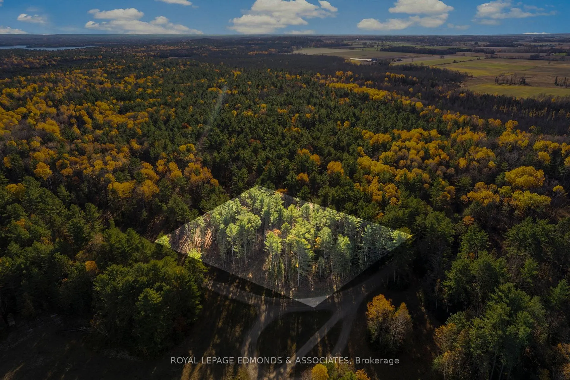 Photo of 100 Nangor Trail